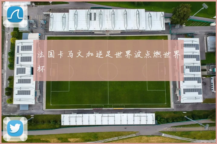 法国卡马文加逆足世界波点燃世界杯