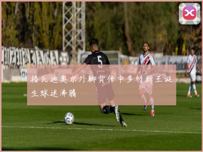 格瓦迪奥尔外脚背传中多特新王诞生球迷沸腾