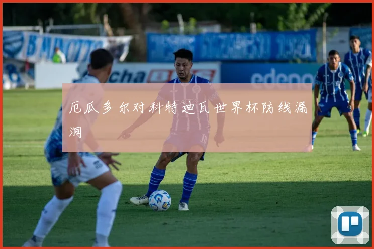 厄瓜多尔对科特迪瓦世界杯防线漏洞