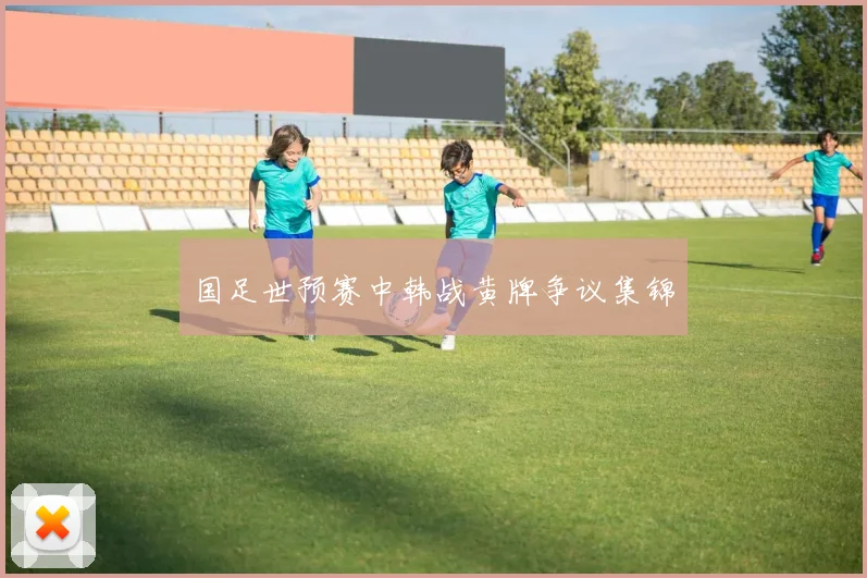 国足世预赛中韩战黄牌争议集锦