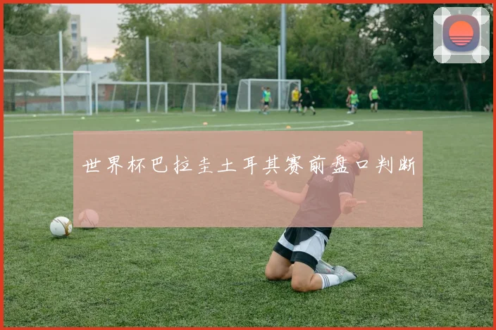世界杯巴拉圭土耳其赛前盘口判断
