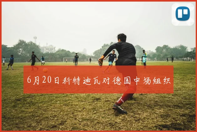 6月20日科特迪瓦对德国中场组织