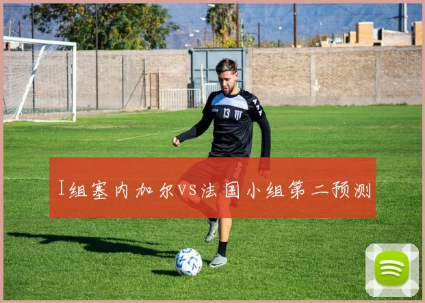 I组塞内加尔vs法国小组第二预测
