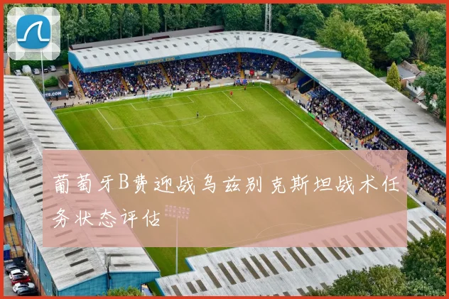 葡萄牙B费迎战乌兹别克斯坦战术任务状态评估