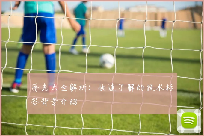 蒋光太全解析：快速了解的技术标签背景介绍