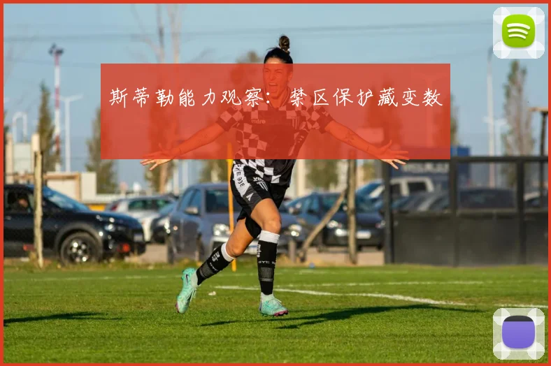 斯蒂勒能力观察:禁区保护藏变数