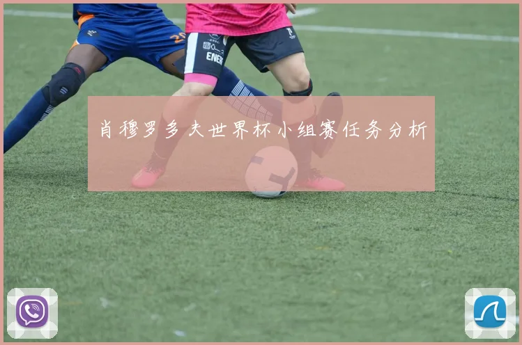 肖穆罗多夫世界杯小组赛任务分析